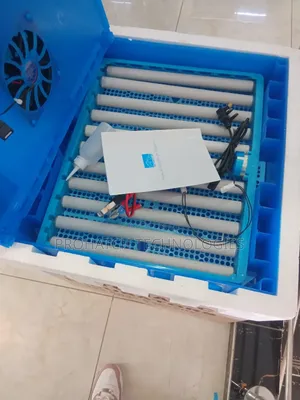 Eggs Incubator 64 Eggs Capacity