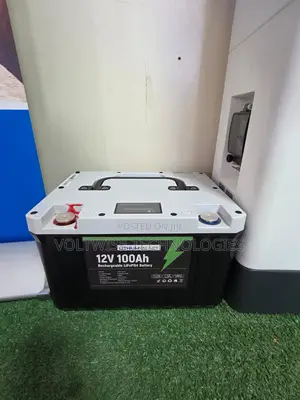 Lithium Valley 12v 100ah Lifepo4 Battery