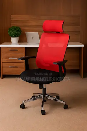 Ergonomic Orthopedic Chair