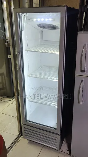 Chiller Refrigerator 300litres