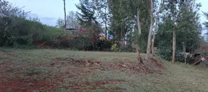 Nyeri Kerichu/Near Kagumo High School Quota Plots