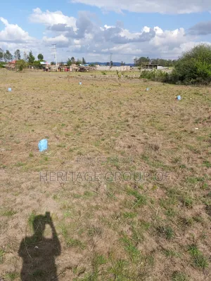Prime Plots 50x100