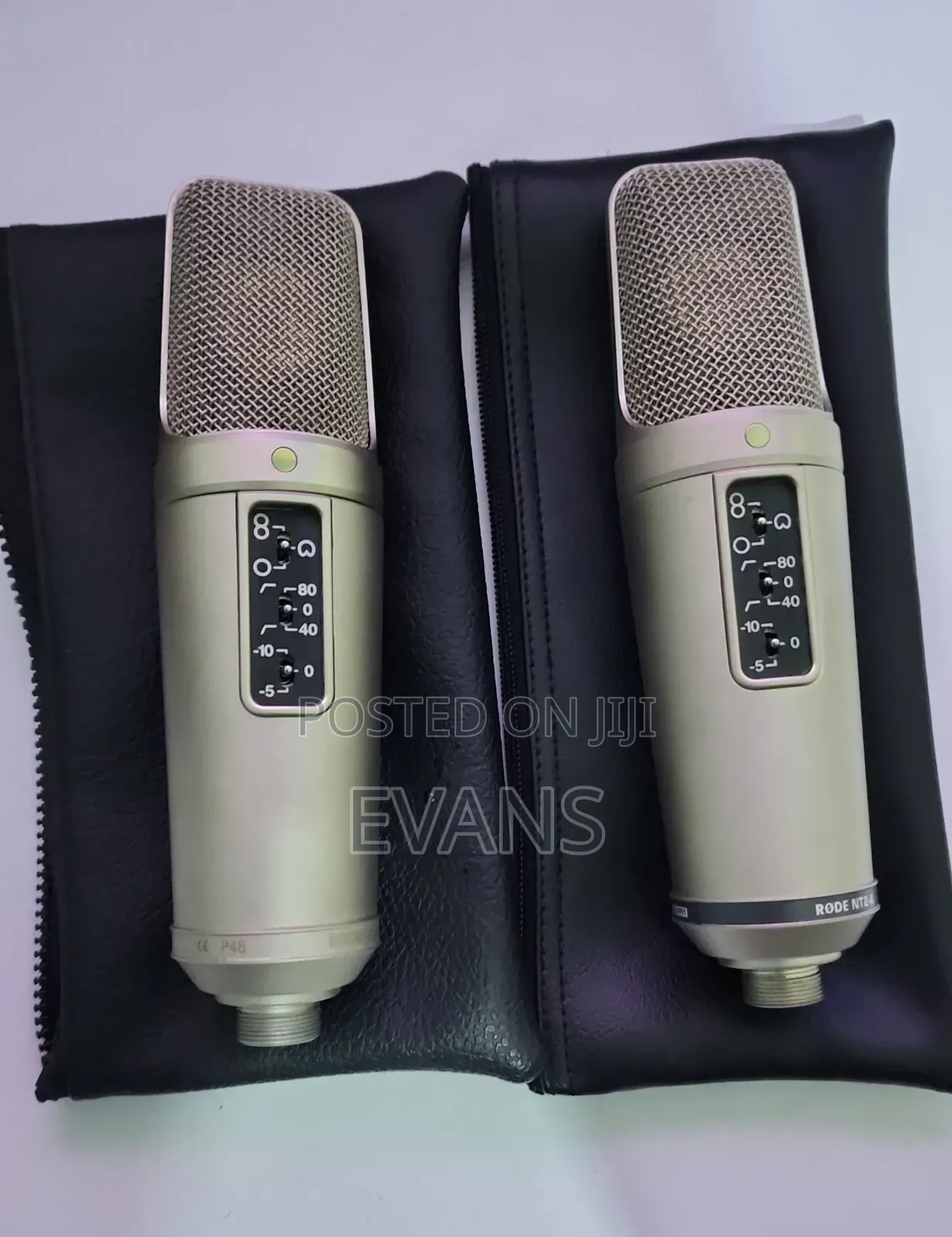 Rode Nt2a Mic