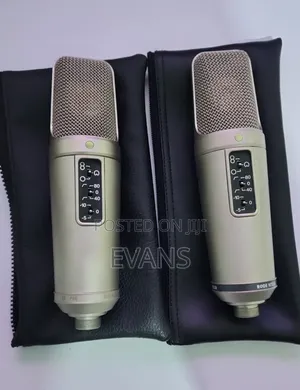 Rode Nt2a Mic