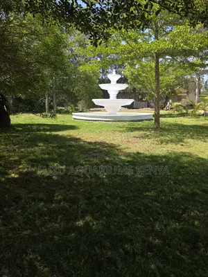 Royal White Cascade Fountain – Bring Palace Gardens to Your Home