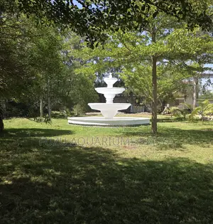 Premium Outdoor Water Fountain – Ideal for Homes Hotels