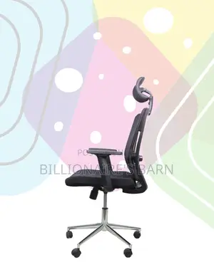 Sleek Mesh Chair With Chrome Base | Designed for Long Hours