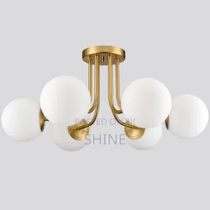 6 Hold Ceiling Light