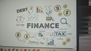 Freelance Accountant Consultant