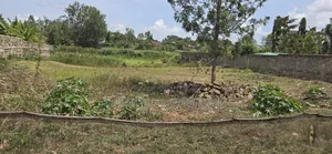 Half an Acre for Sale in Thika