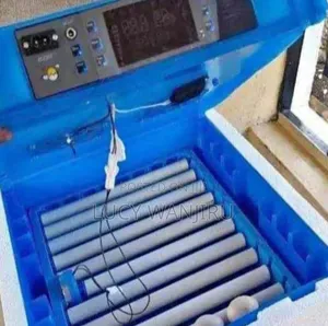 Egg Incubator 64 Eggs