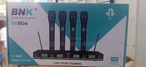 Microphone BNK 804