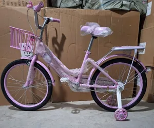 Bmx Bike Size 20 With Training Wheels, Bell, Adjustable Seat & Basket