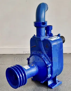 Milano 50bpz-55 Bare Water Pump 2 Inch 55 Meter Head