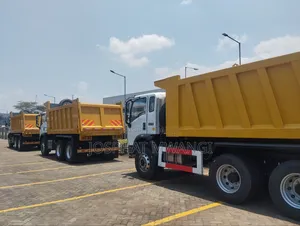 Howo-h3 Light Tipper