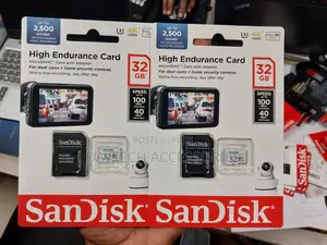 Sandisk 32gb High Endurance Microsdhc Cards With Adapters.