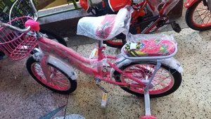 Kids Bike Size16