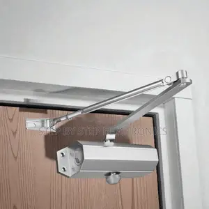 Heavy Duty Aluminum Hydraulic Door Closer 25-45kg Automatic Closing