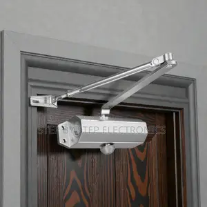 Premium Aluminum Automatic Door Closer Dual Valve Smooth Closing