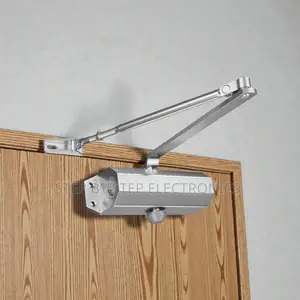 Adjustable Hydraulic Aluminum Door Closer Dual Speed Regulation