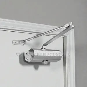 Premium Hydraulic Aluminum Door Closer 25-45kg Fireproof Design