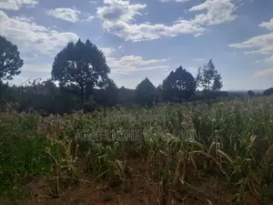 Prime 3 Acres for Sale in Nanyuki