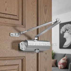 Adjustable Automatic Aluminum Door Closer Dual Valve Silver Finish
