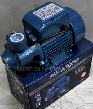 Electric Peripheral Water Pump/ 0.5hp Booster Pump Aquapond