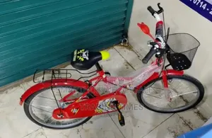 Victory Bicycle /Bike Size 20