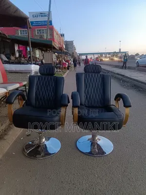 Salon Seat With Hydraulic Machine and Headrest