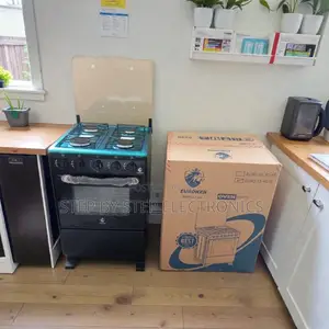 Inexpensive Free Standing Cooker With Gas Oven for Daily Home Cooking