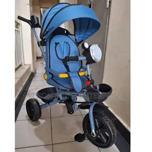 Tricycle With Canopy