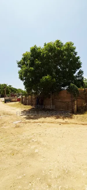 For Sale 3 Prime Plots Utange