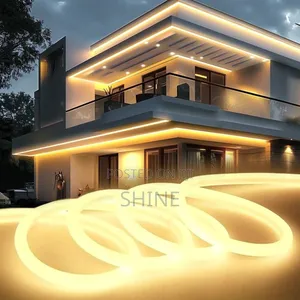Led Neon Lights