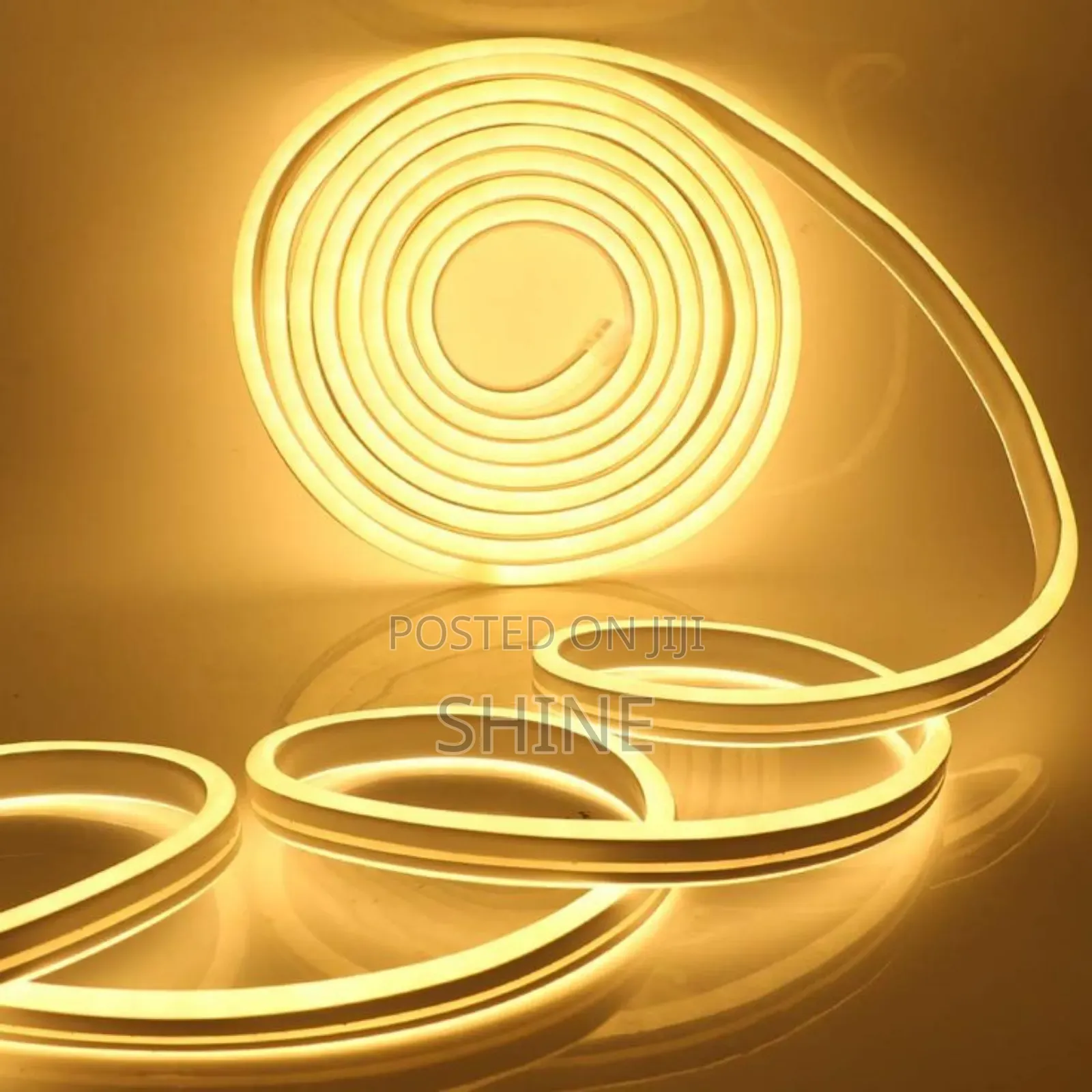 Led Neon Lights
