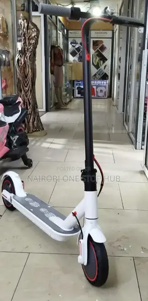 Waflex Electric Scooter.