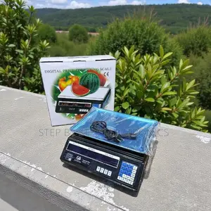 Heavy Duty Acs 40 Computerized Digital Weight and Price Scale