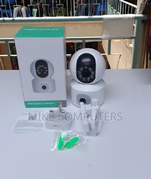 PTZ Wifi Camera Dual Lens Icsee 4mp PTZ Camera