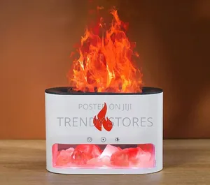 Dynamic 3d Aromatherapy Diffuser