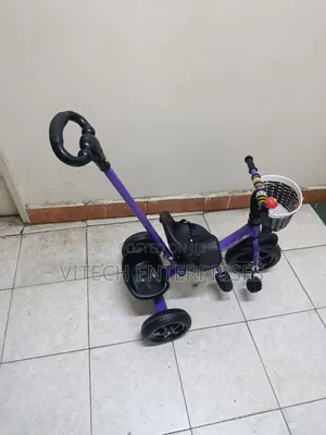 Tricycle With Push Handle Purple