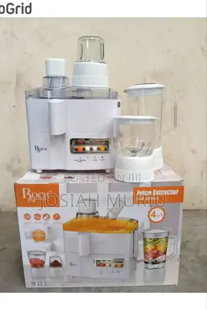 Roch 4 in 1 Juicer -Blender-Grinder and Mill Food Processor