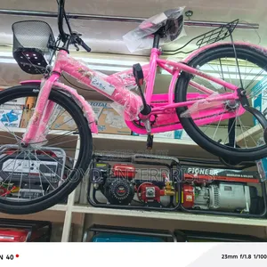 Pink Size 20 Bicycle