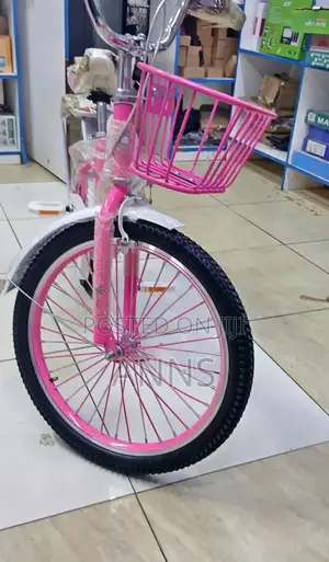 Size 20 Kids Bicycle (Pink Body)/ Kids Bike