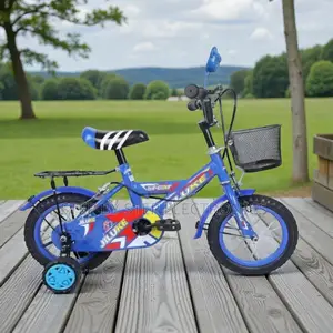 12,14,16 Inch 2–11 Years Kids Bright Cartoon Bike With Brake System