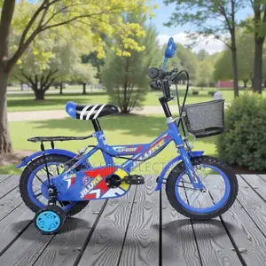 12,14,16 Inch 2–11 Years Kids Cute Cartoon Bike With Sparkle Stickers