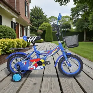 12,14,16 Inch 2–11 Years Children Safety Brake Bike With Padded Saddle