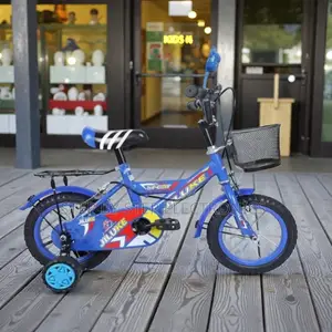 12,14,16 Inch 2–11 Years Kids Cartoon Theme Bike With Bottle Holder