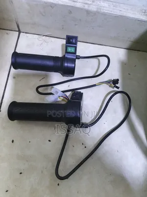 Electric Throttle