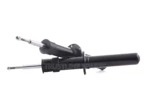 Bmw X5 (E70) X6 (E71, E72) - Shock Absorber - Frey