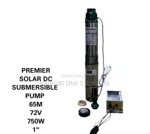 65m Premier 750w Dc Solar Submersible Pump